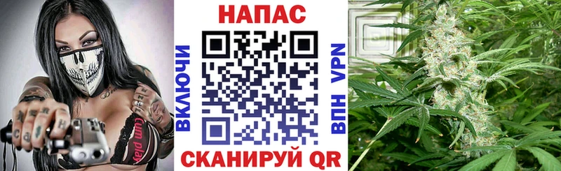Где продают наркотики Сибай НБОМе Гашиш