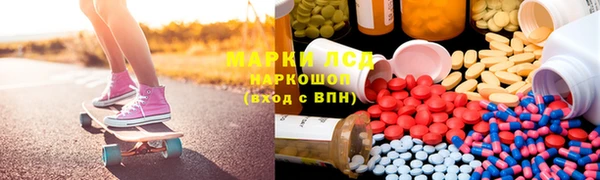 гашик Аркадак