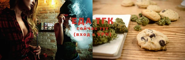 гашик Аркадак