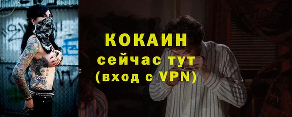 гашик Аркадак