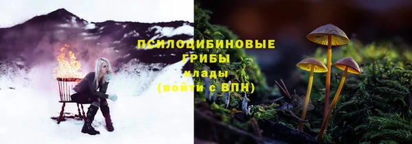 гашик Аркадак
