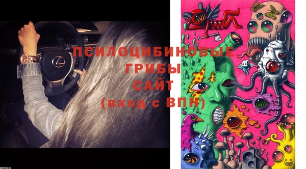 круглые Арсеньев